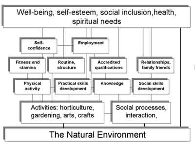 Newmodel Aldridge-Sempik-2